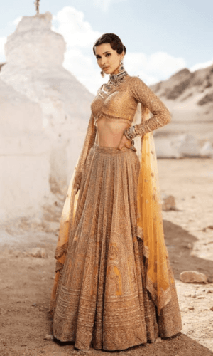 Golden Lehenga thumbnail 1