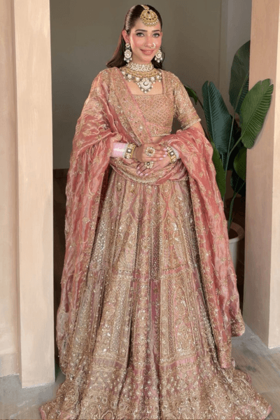 Pink Tissue Lehenga - view 1